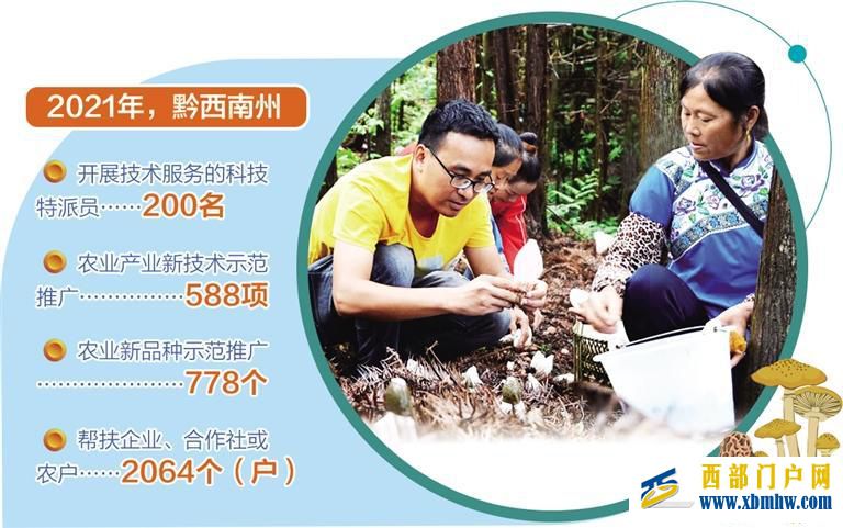 贵州黔西南州把产业发展与技术服务相结合乡村来了科技特派员(图1) 贵州黔西南州把产业发展与技术服务相结合乡村来了科技特派员(图1)