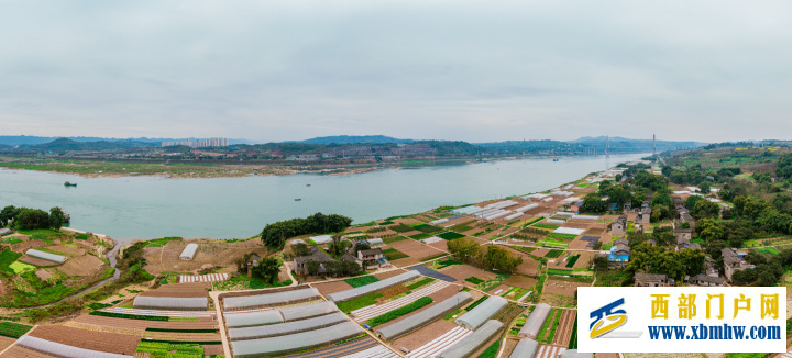 不负春光好,九龙坡春播迎来好光景(图1) 不负春光好,九龙坡春播迎来好光景(图1)
