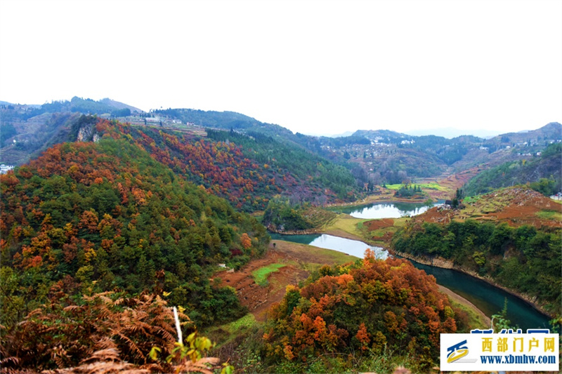 六盘水钟山区: 红叶满山 冬景如画(图2) 六盘水钟山区: 红叶满山 冬景如画(图2)