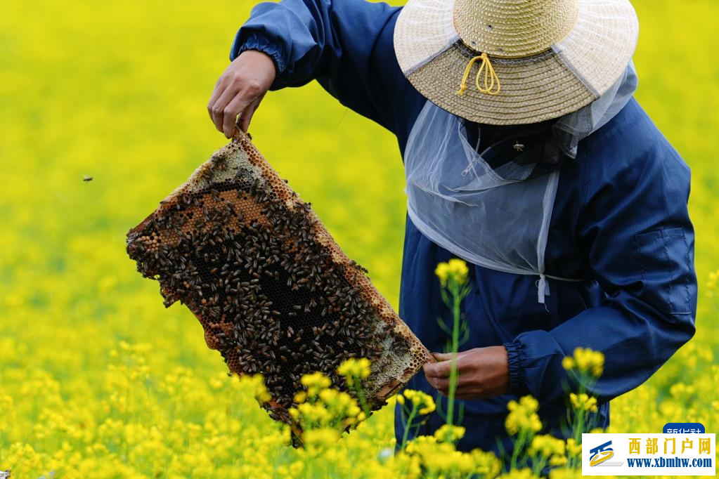 追花人家 甜在田间(图1)