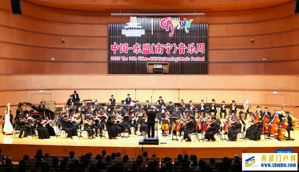 第三届中国—东盟(南宁)文化月活动在广西南宁精彩上演(图13) 第三届中国—东盟(南宁)文化月活动在广西南宁精彩上演(图13)