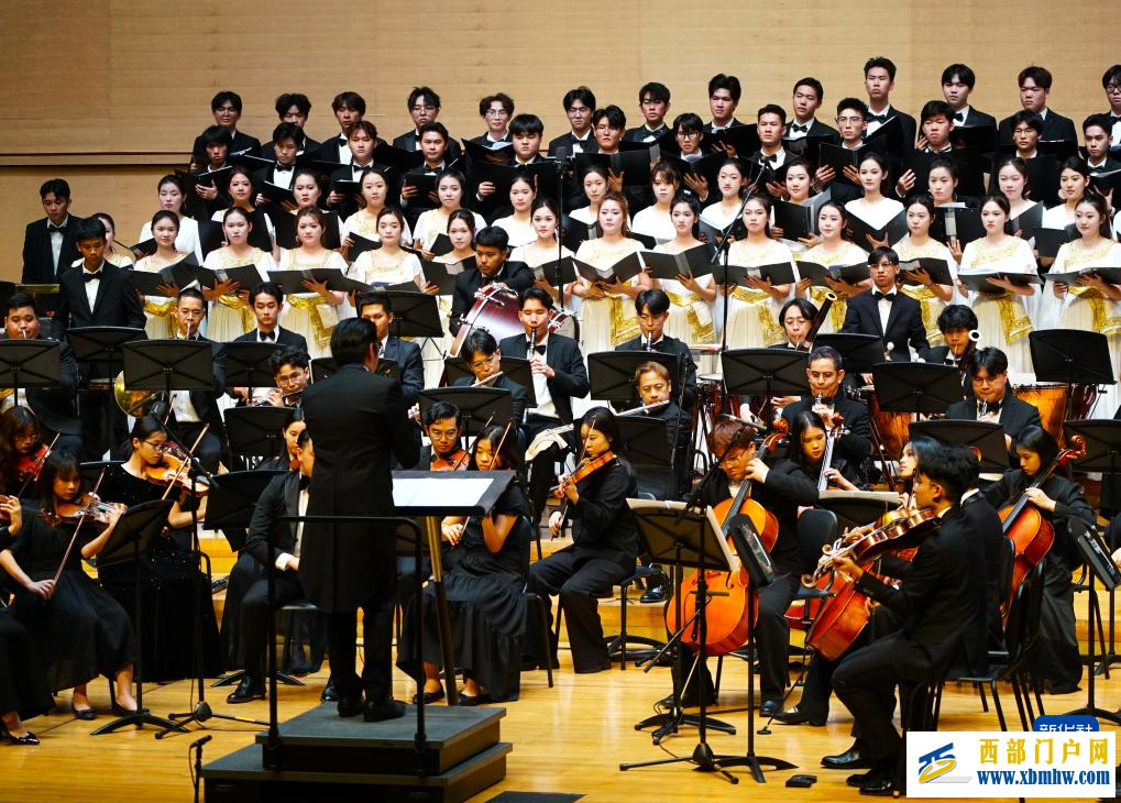第三届中国—东盟(南宁)文化月活动在广西南宁精彩上演(图15) 第三届中国—东盟(南宁)文化月活动在广西南宁精彩上演(图15)