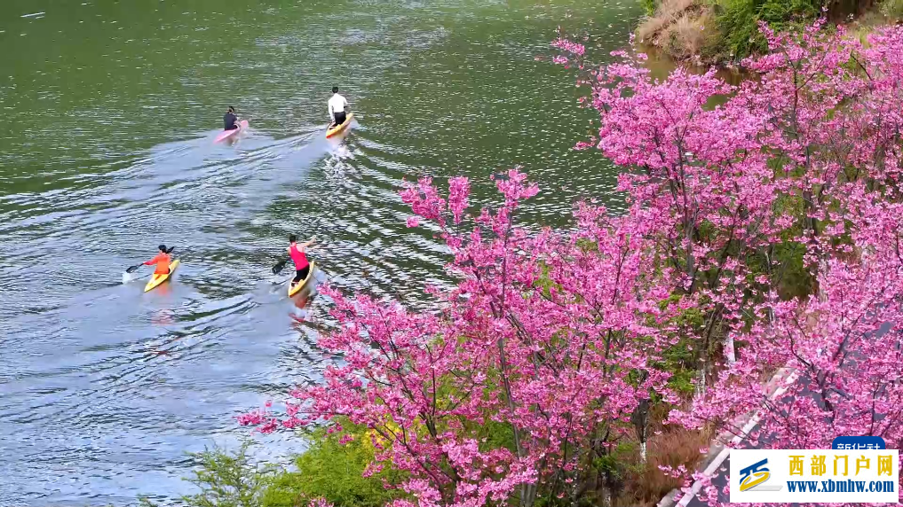 云南寻甸开启春日限定美景(图1)