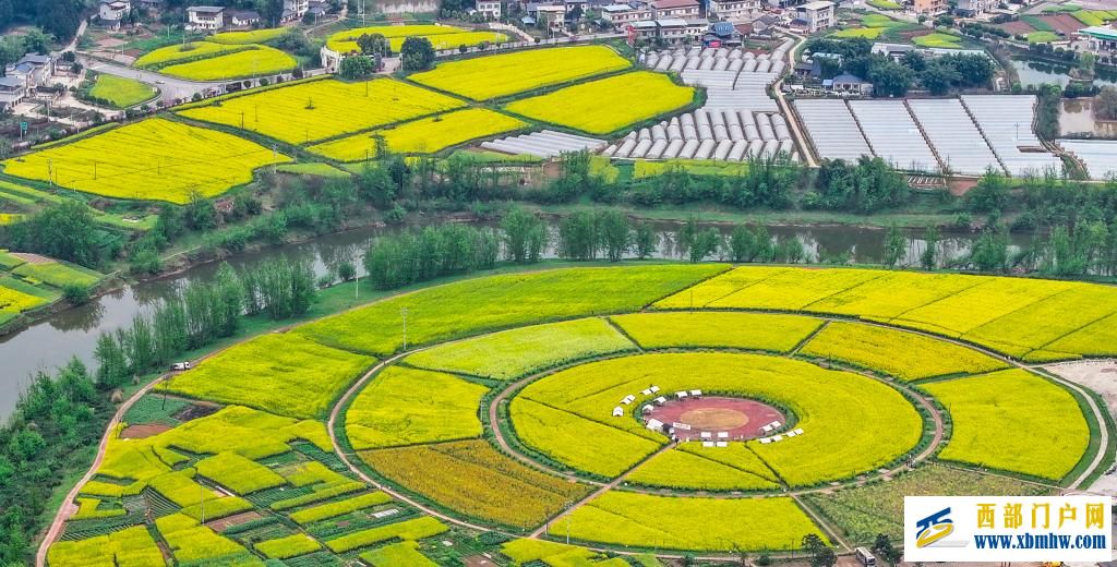 重庆潼南:油菜花开迎客来(图2) 重庆潼南:油菜花开迎客来(图2)