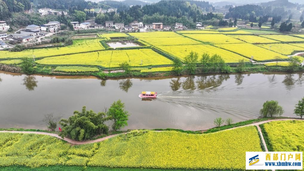 重庆潼南:油菜花开迎客来(图5) 重庆潼南:油菜花开迎客来(图5)