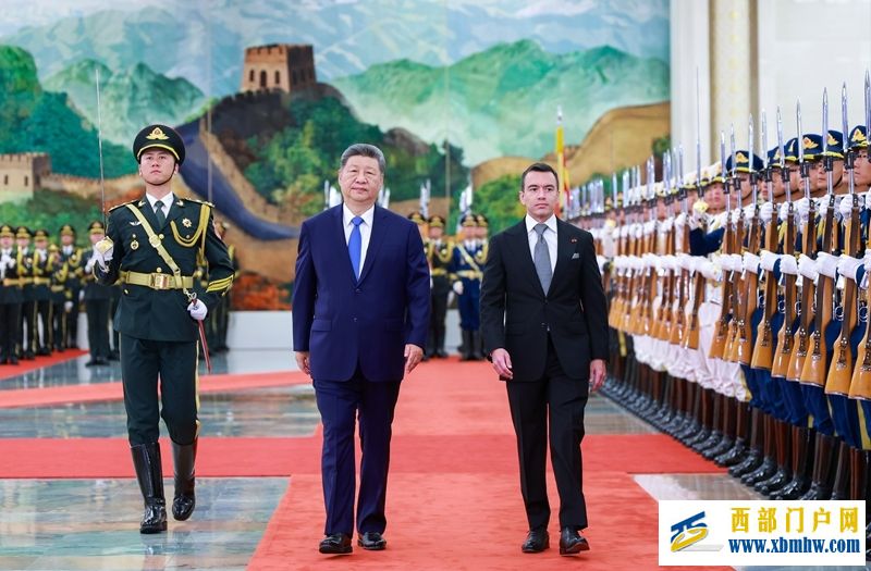 习近平同厄瓜多尔总统诺沃亚会谈(图4)