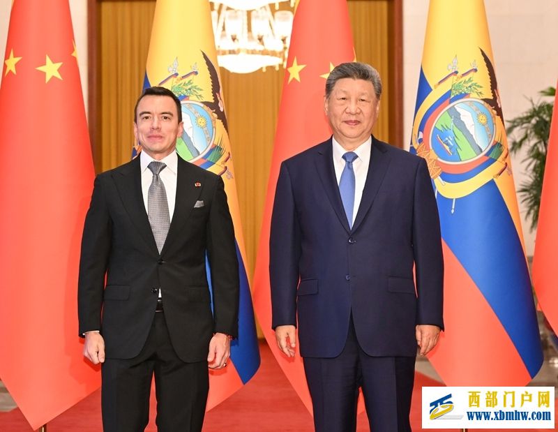 习近平同厄瓜多尔总统诺沃亚会谈(图1)