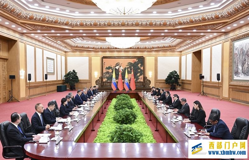习近平同厄瓜多尔总统诺沃亚会谈(图3)